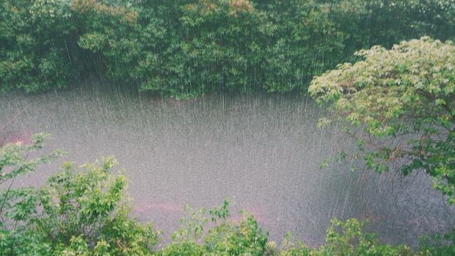 ScienceBrief on extreme rainfall and flooding