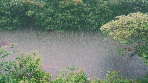 ScienceBrief on extreme rainfall and flooding